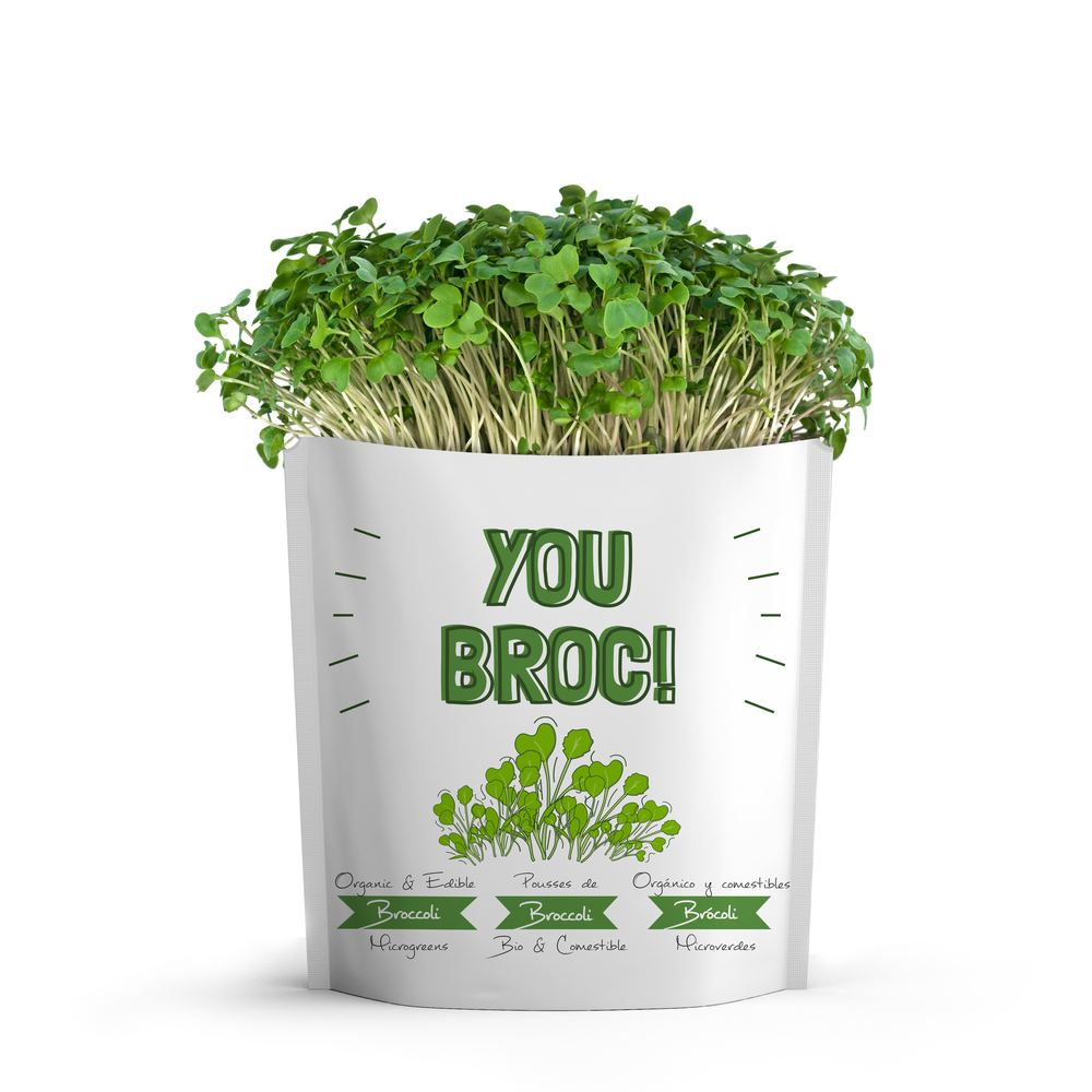 You Broc Card | Broccoli Microgreens
