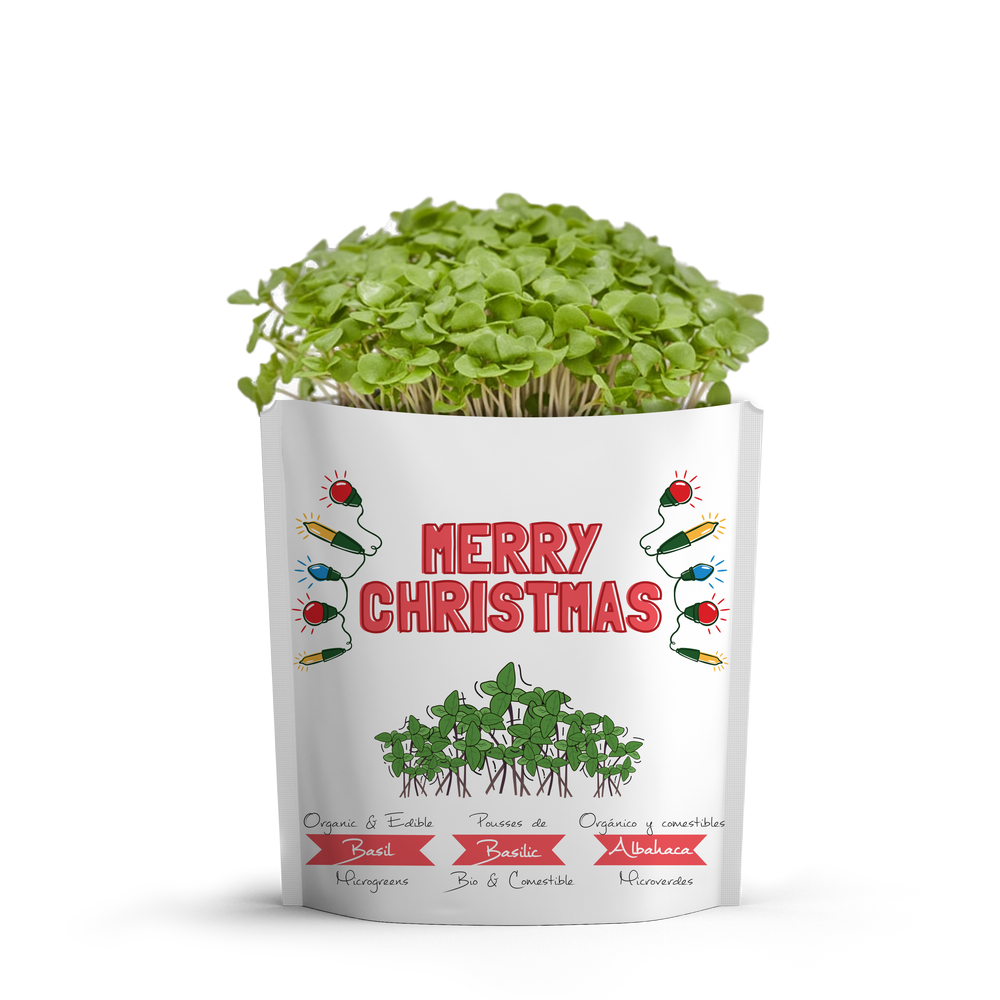 
                  
                    Merry Christmas Card | Basil Microgreens
                  
                