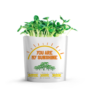 
                  
                    You Are My Sunshine Card | Sunflower Microgreens
                  
                
